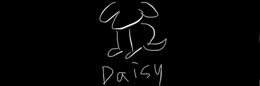 Daisy's banner