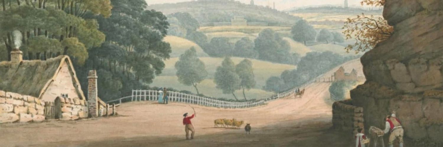 Sir Toby Carvery's banner