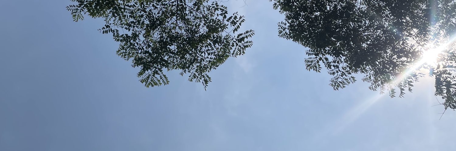 F Only's banner