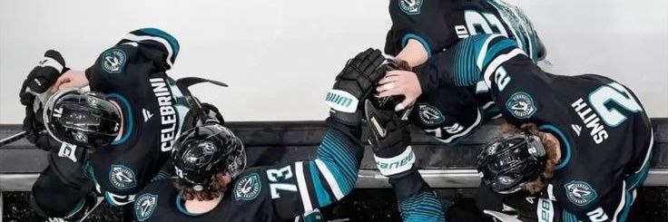 marianna ⋆｡°⛧🏒's banner