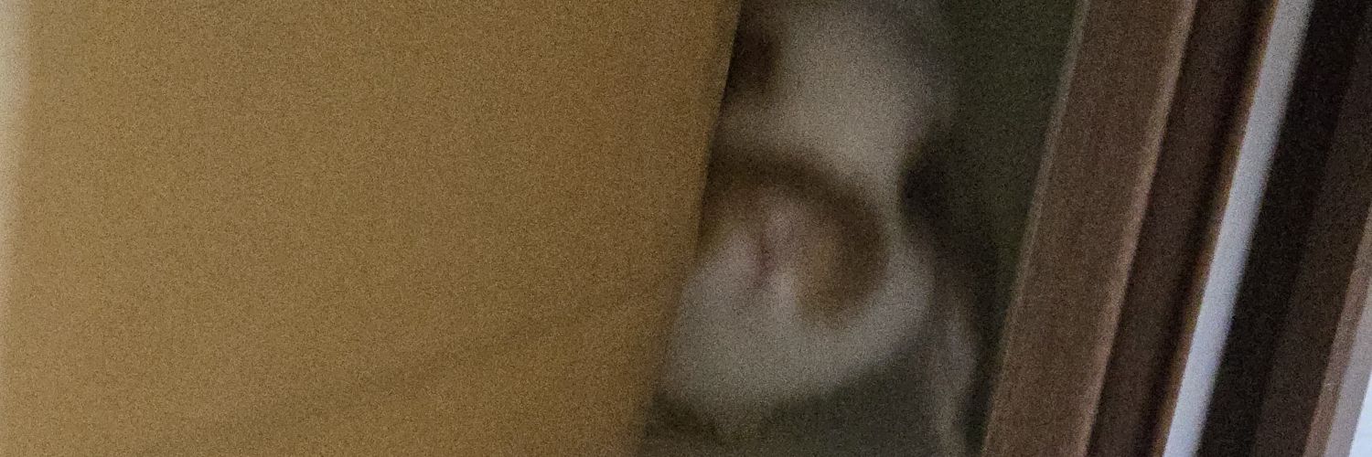 看護学生あこ💫の別垢's banner