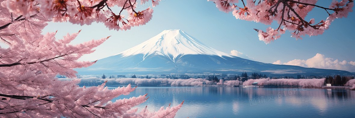 每日一片's banner