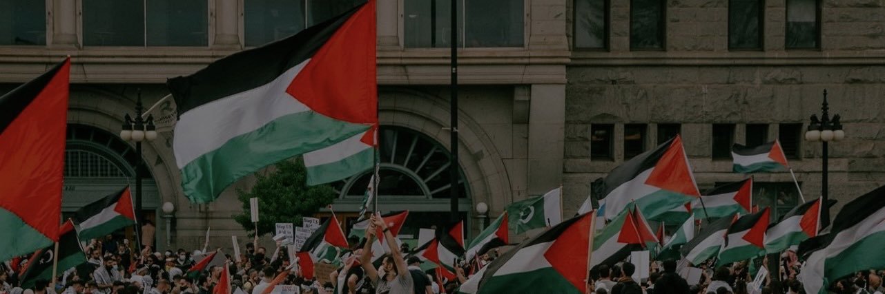 SJP Chicago- طلاب لأجل العدالة في فلسطين's banner