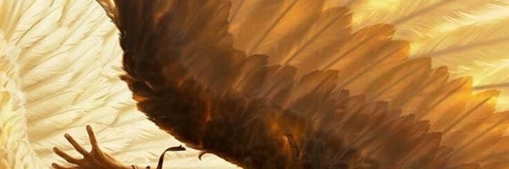 ♡ 𝔐𝔦𝔦𝔨𝔬 ! 🕯️'s banner