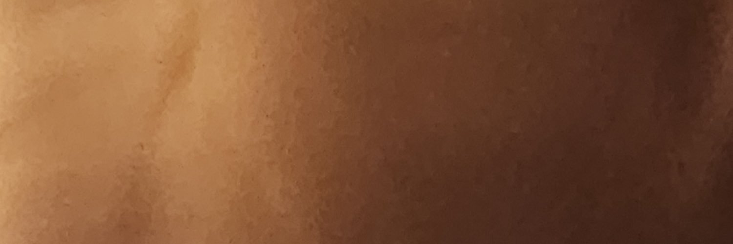 🏍️半熟蛋🍳🏍️'s banner