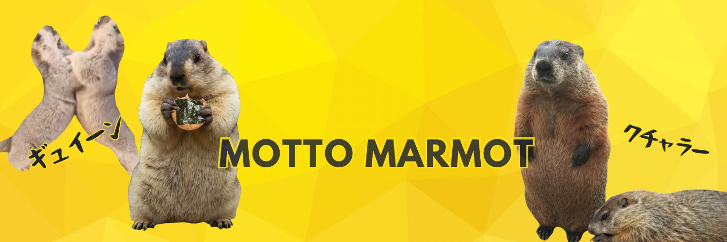マーモット広報まーもん's banner