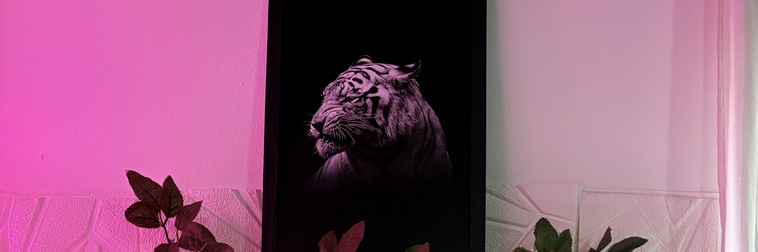 D💋's banner