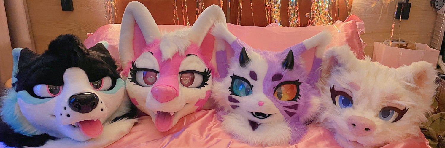 Zibi (succu kitty) 💜🐾's banner