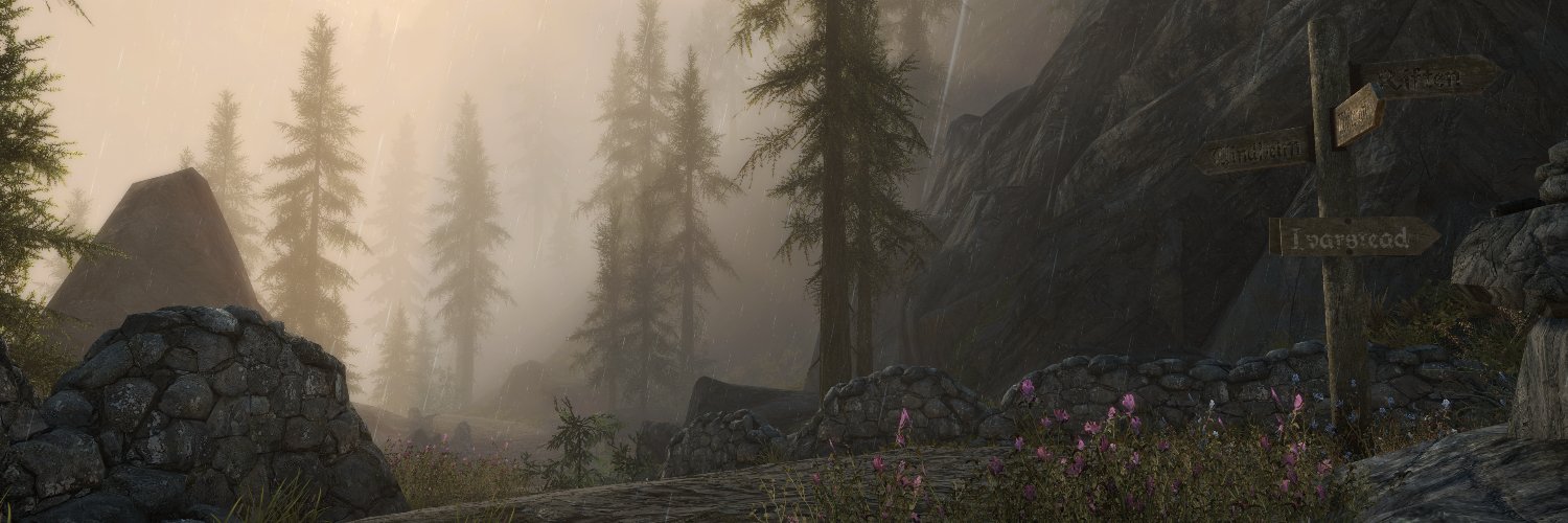 TheDezembro's banner