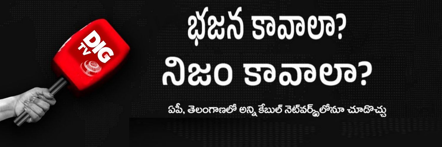 DIG TV Parody's banner