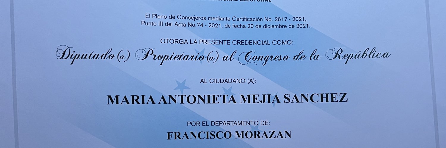 Maria Antonieta Mejia's banner