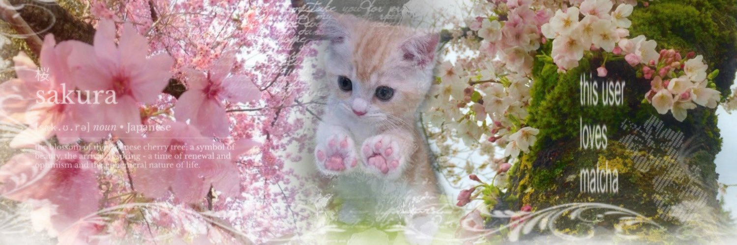 ❄️kattiee🪽's banner