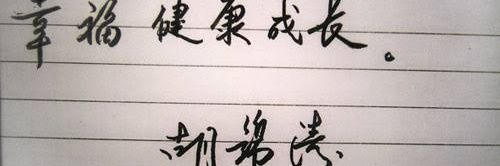 胡锦涛's banner