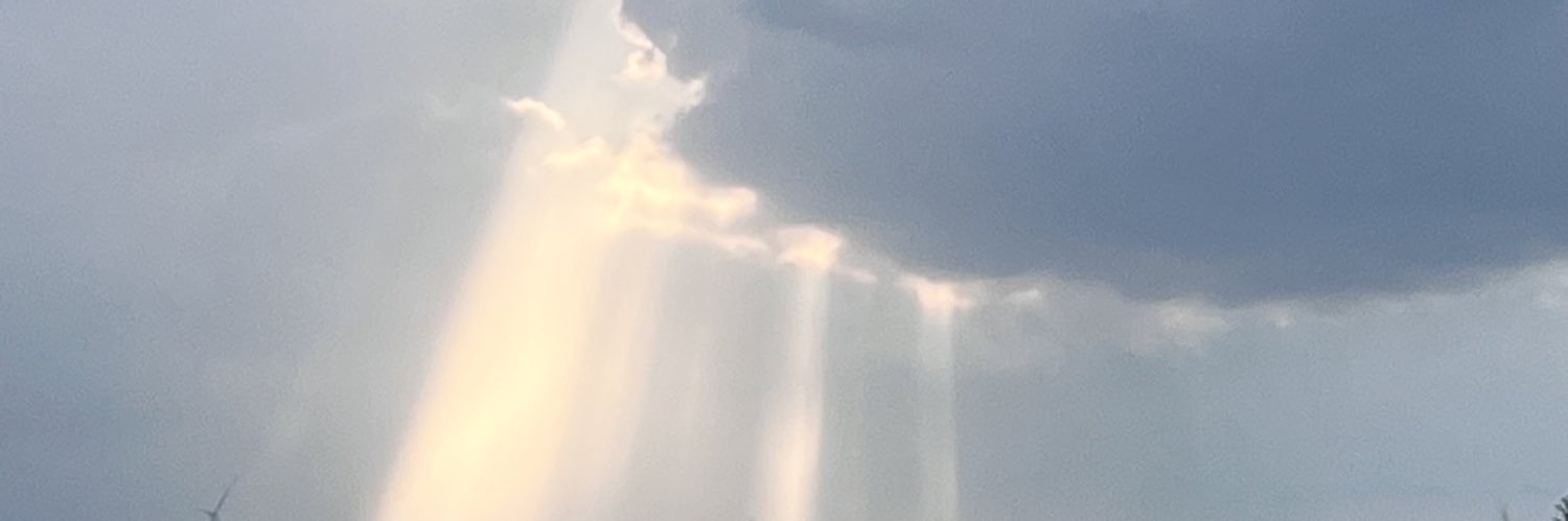 蒽蒽's banner