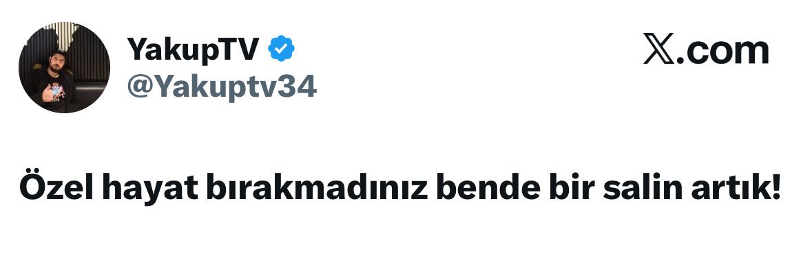 zara yalçın's banner