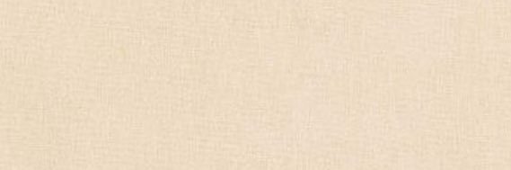 Ellie's banner