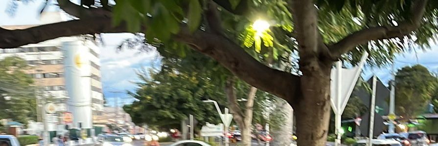 Edu's banner