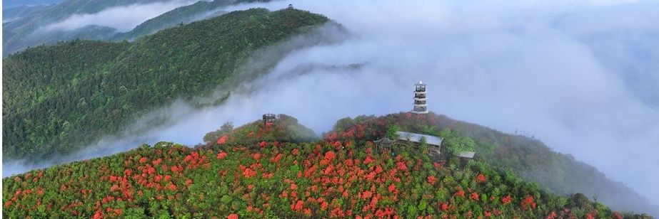 China SpicyCap｜中国辣都·萍乡🇨🇳's banner
