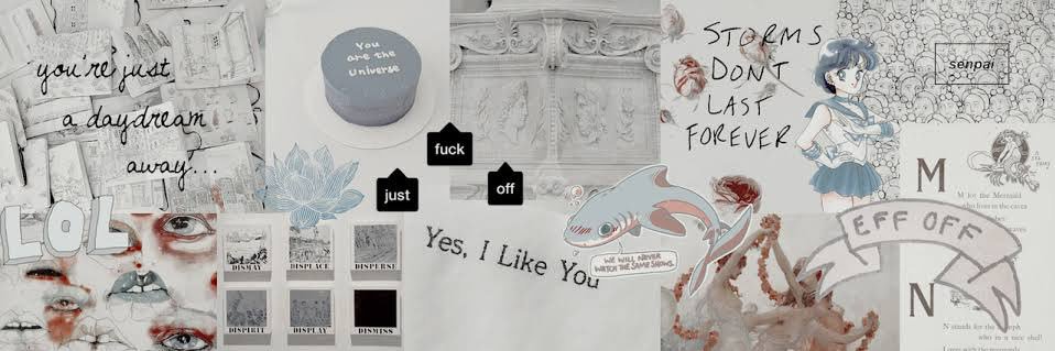 YAZ ⋆˚✿˖°'s banner