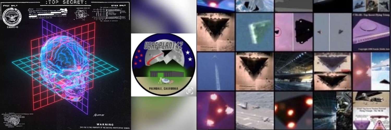 UAP 𓂀 Luigi 👁️⃤ 🇺🇸 κρυπτός W.👽MJ12 SOM1-01🫈's banner