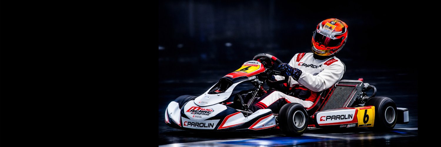 RACING-DRIVER.JP's banner