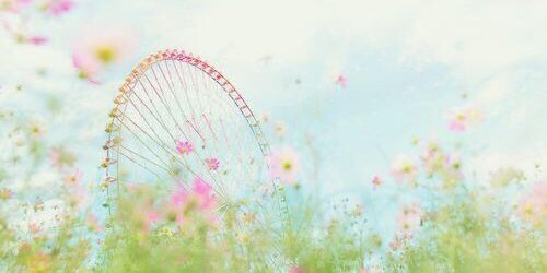 👑ᥫᩣ.🌸's banner