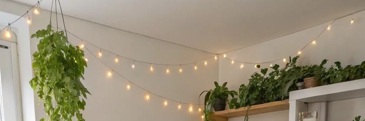 Desi's banner