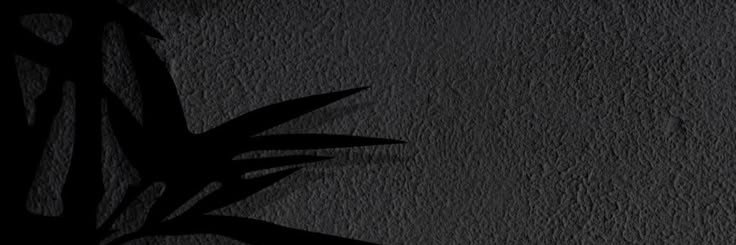 𝑶𝒍𝒂's banner