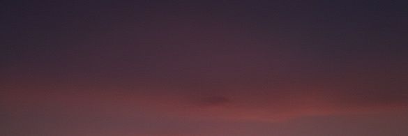 Zikry🦖's banner