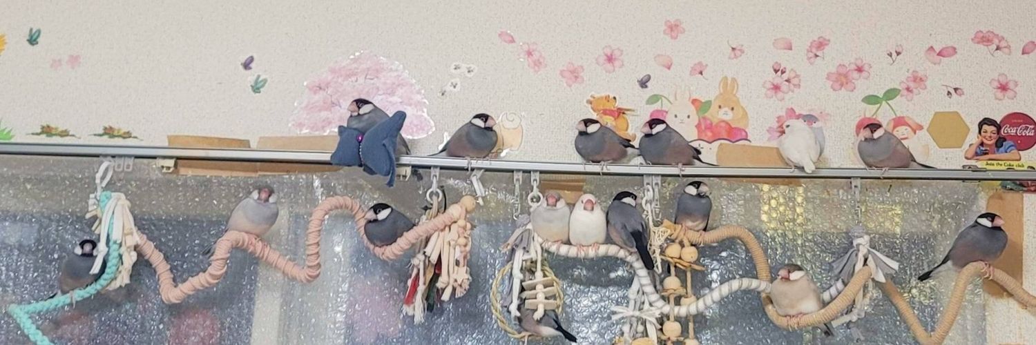 文鳥百貨店's banner