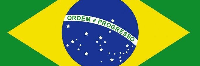 Newton Pará's banner