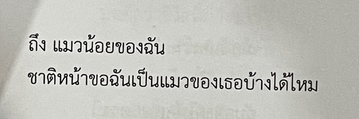 ⋆𐙚₊ หมุ้จิ๋วnot hehe นอยing's banner
