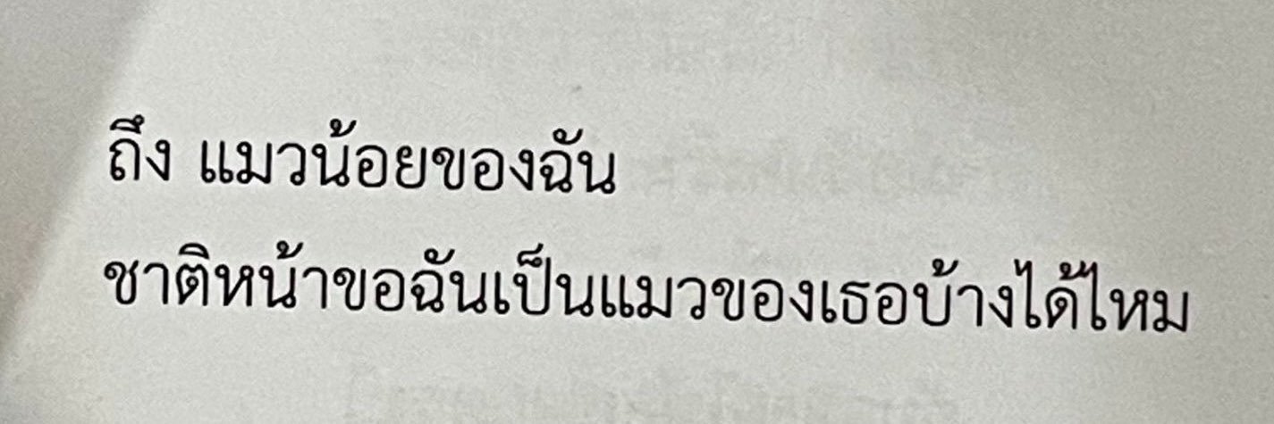 ⋆𐙚₊ หมุ้จิ๋วnot hehe ⛅️🧺🪐's banner
