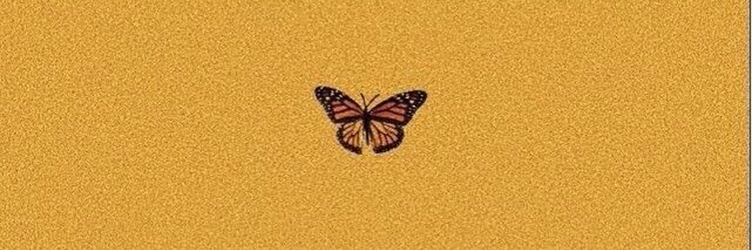 Thay's banner