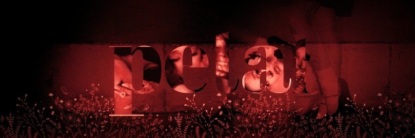 ꕤ's banner