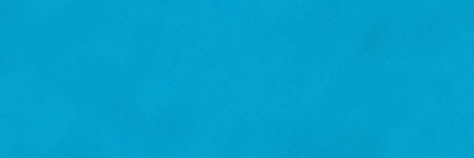 kiwi's banner