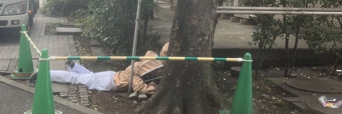 みつばち🐝🍯's banner