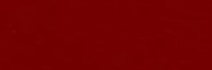 flagra heteros 👀's banner