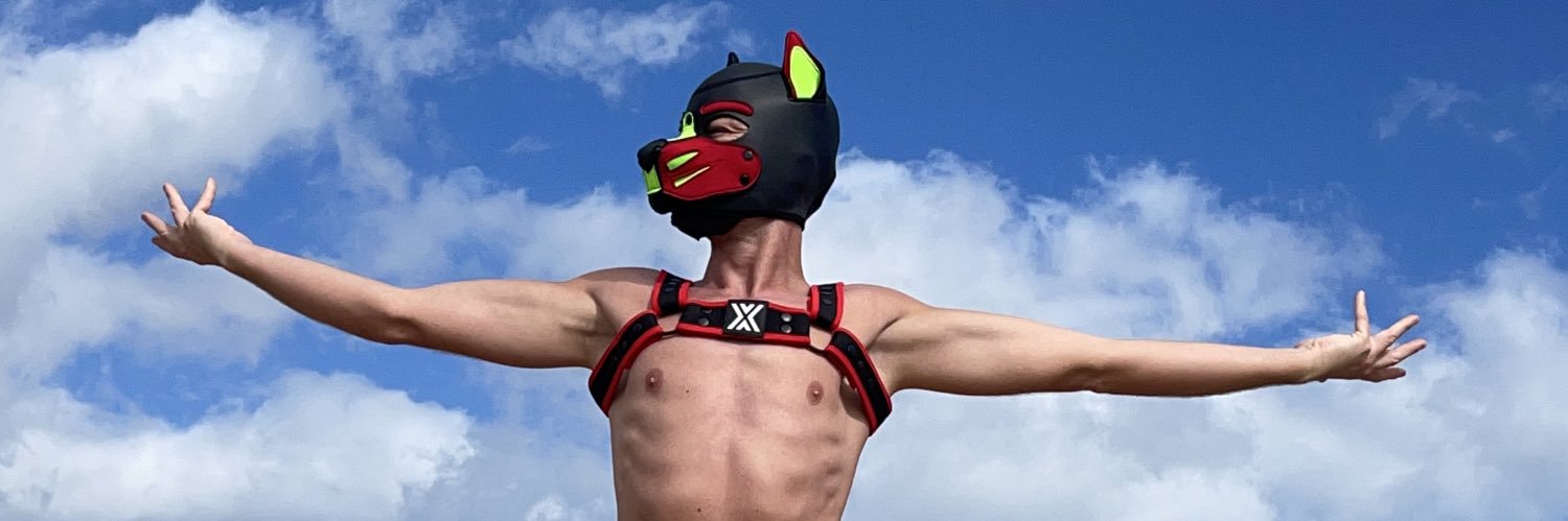 Pup Sunny 🔛 Maspalomas's banner