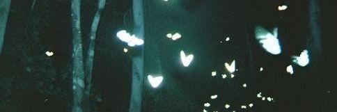 ''s banner