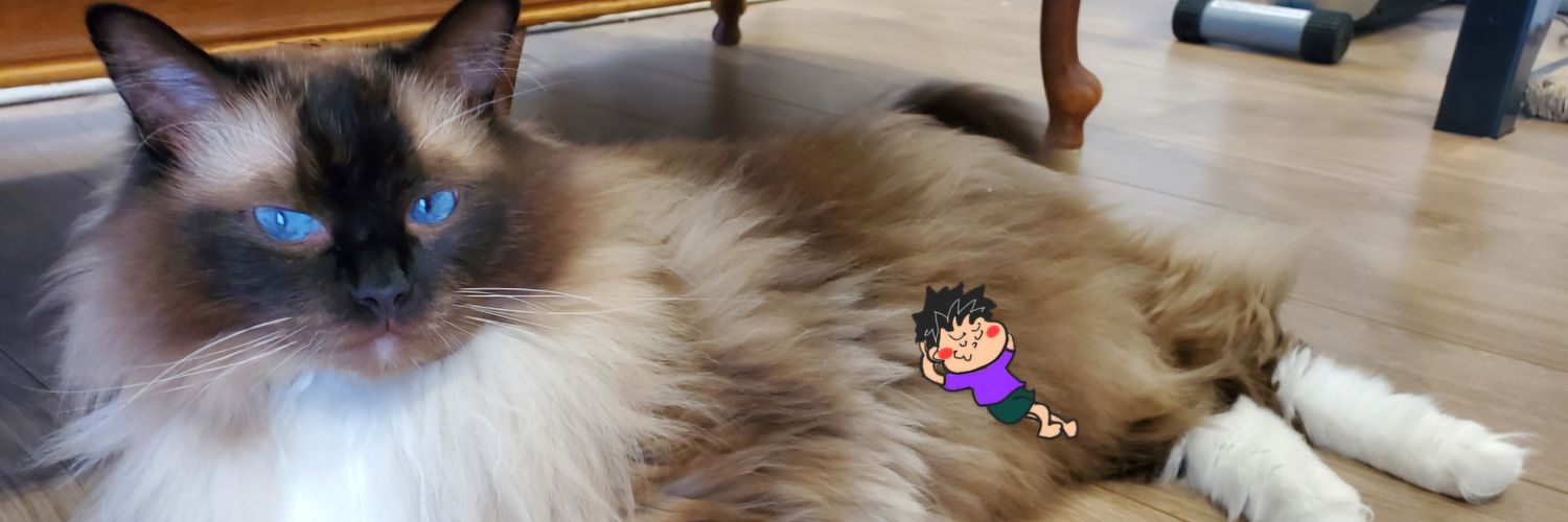 kota's banner
