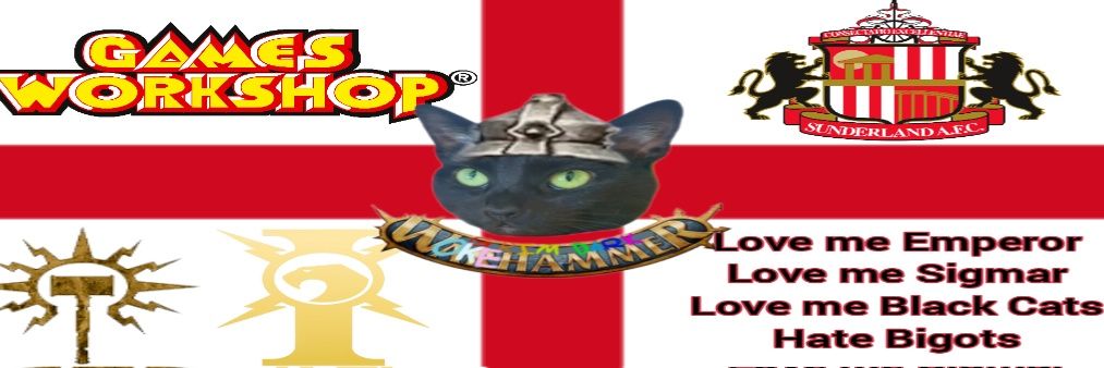 HeartShapedTear ❣️'s banner