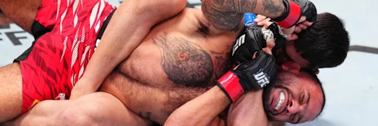 UFC Archives's banner