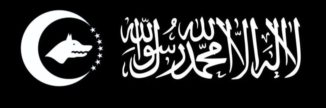 Turkoman 🇹🇷's banner