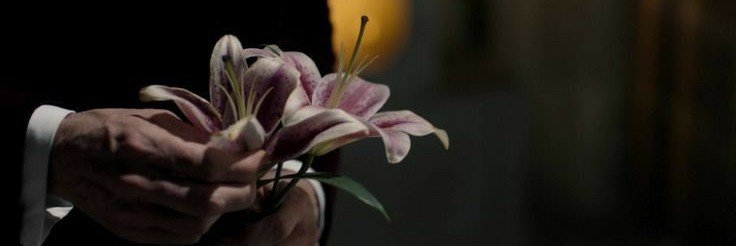 anne ⊗'s banner