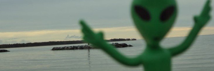 waffle🌊🦧's banner