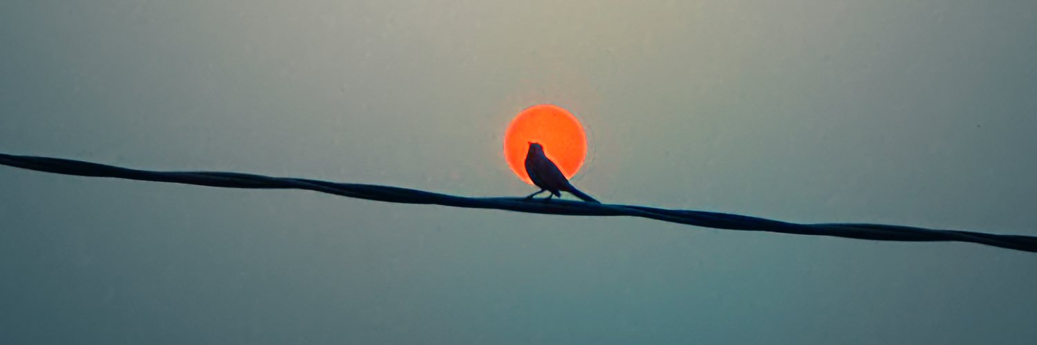 eu, edu's banner