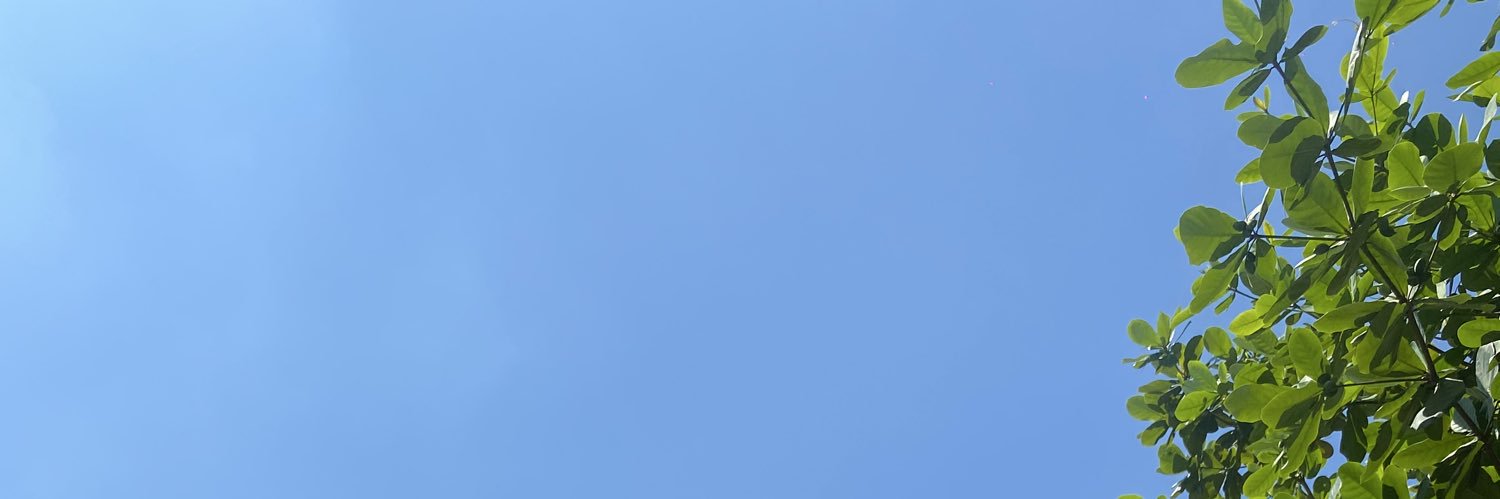 Ny sweetie's banner