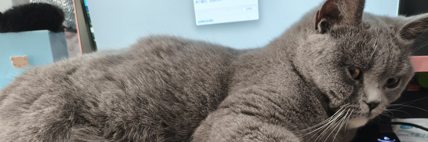 笨蛋折筱喵喵🏳️‍⚧️'s banner