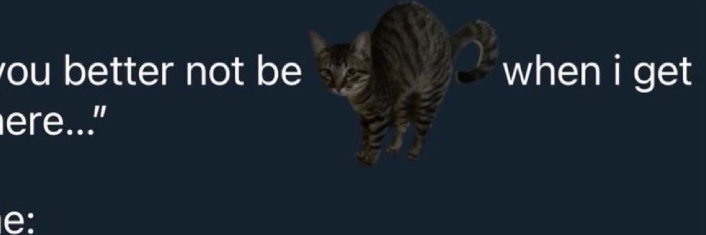 t's banner